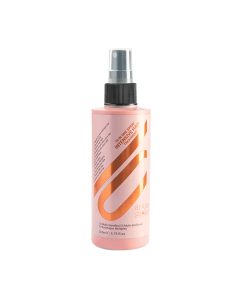 Argan De Luxe Hair Spray 10in 1 Intensive Hair Treatment