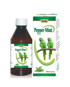 Lasani Peppermint 120ml Syrup