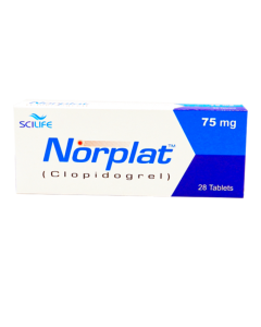 Norplat_Tab.png