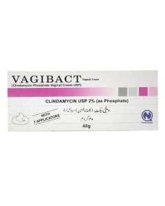 Vagibect Vaginal Cream 40g