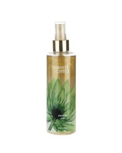 Body Luxuries Shimmer Body Mist 236ml White Citrus