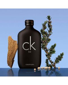 CALVIN_KLEIN_CK_BE_EDT_200ML_1.jpeg