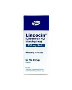 lincocin-60ml