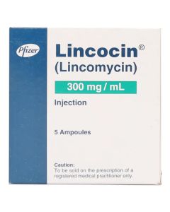 lincocin-inj-300mg-1ml