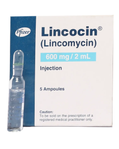 lincocin-inj-600mg-2ml